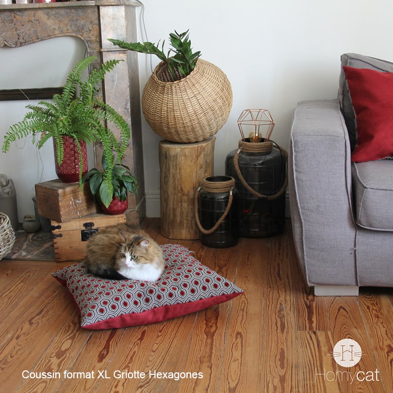 couchage-coussin-chat-housse-salon-canapé