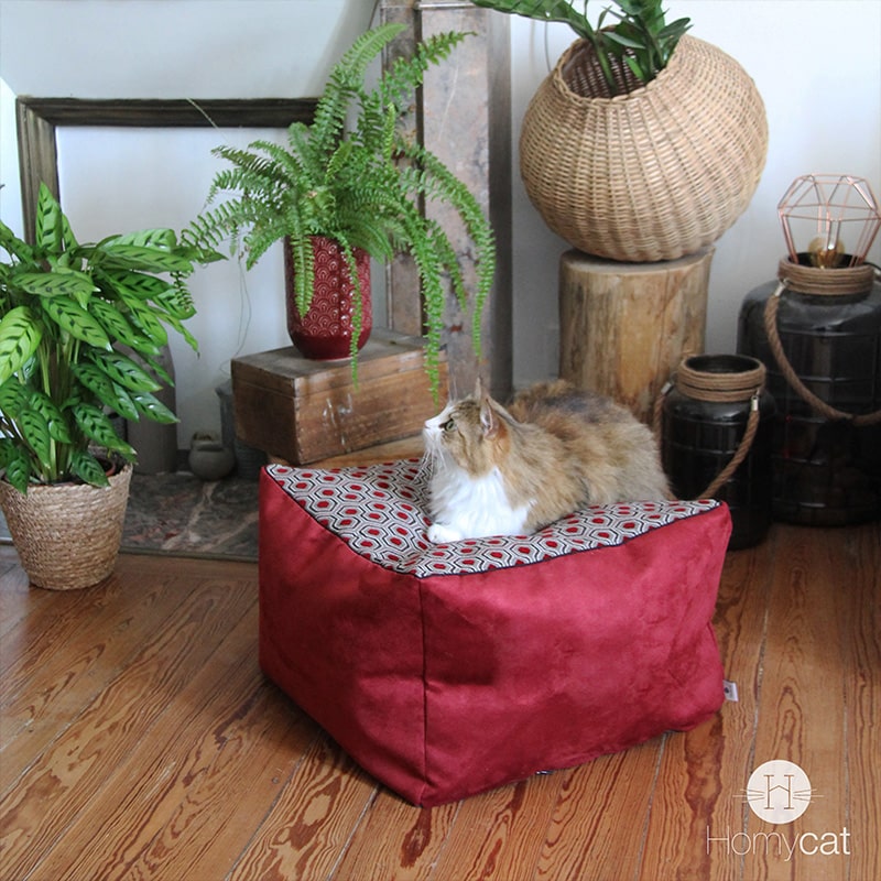 Cube Griotte Hexagones - Couchage pouf chat déco