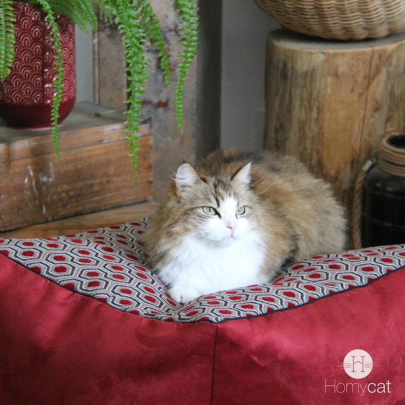 Cube Griotte Hexagones - Couchage pouf chat déco