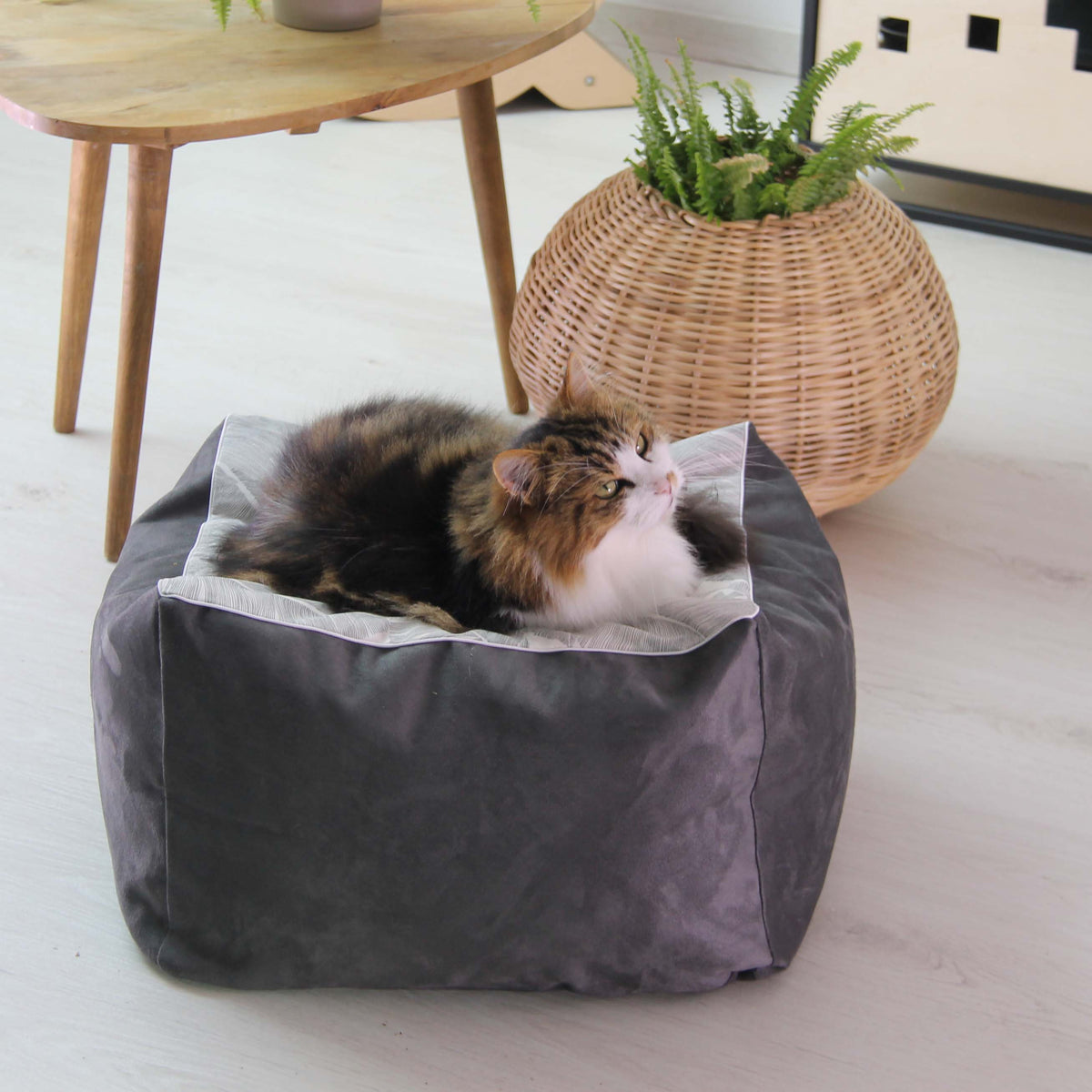 Cube Gris Plume - Couchage pouf chat design