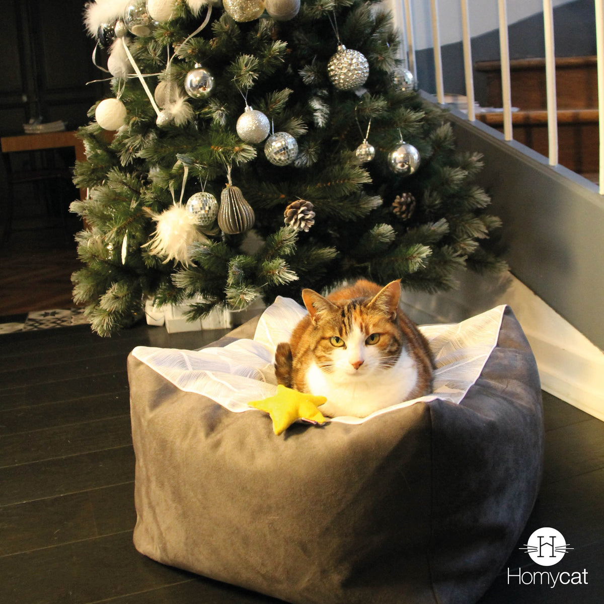 Pack de la mer - 2 x Jouets Poissons pour chats + 1 Jouet Étoile de Mer