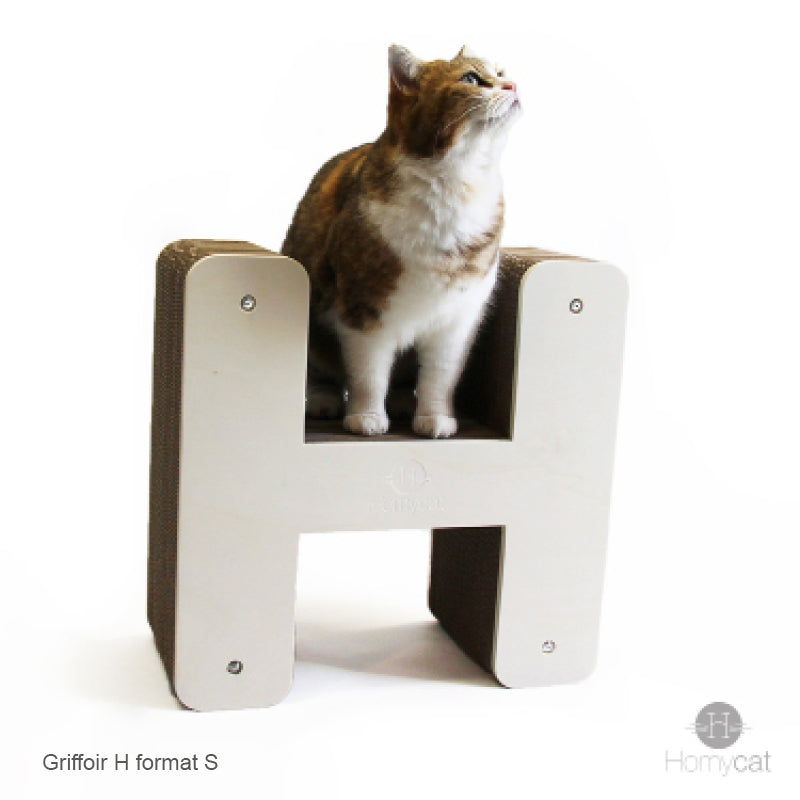 chat-h-lettre-Homycat-griffoir-carton