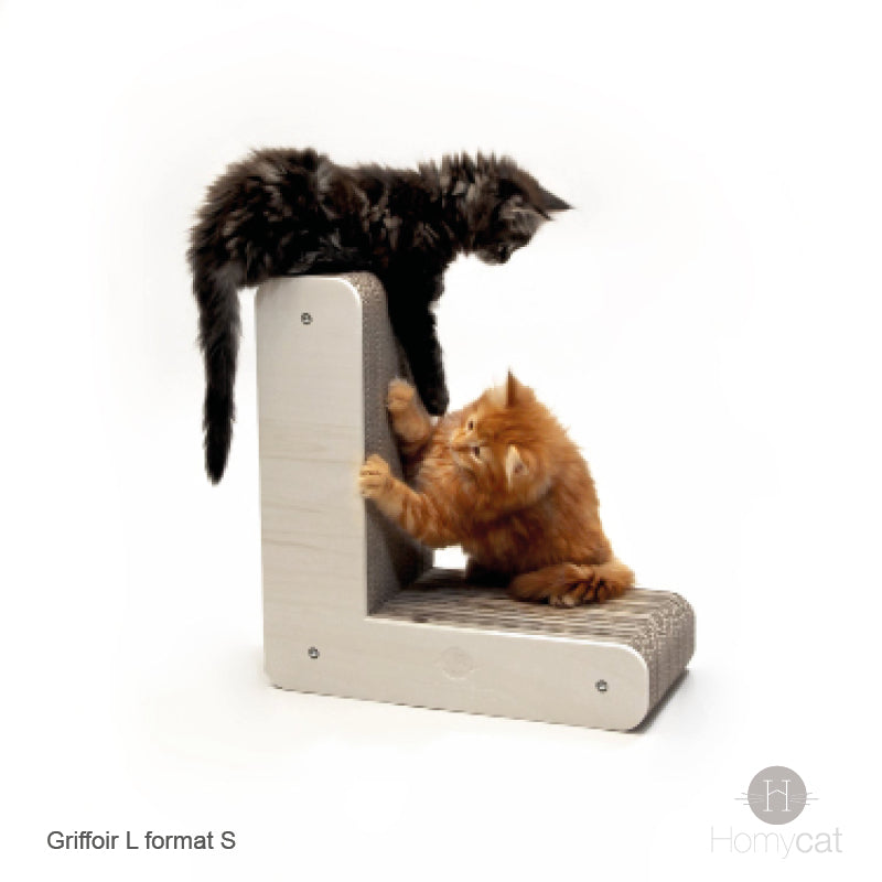 Chaton-mainecoon-noir-et-roux-joue-lettre-L-griffoir-carton-homycat