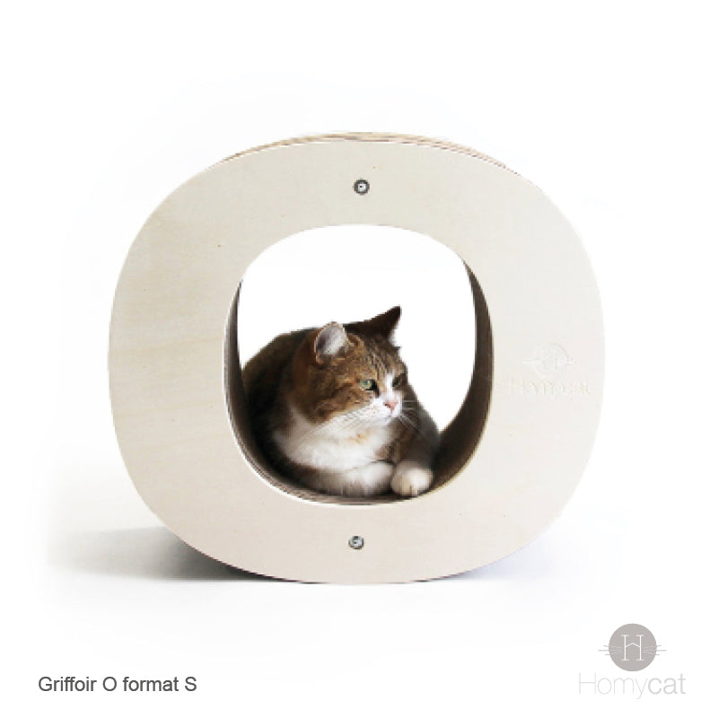 chat-niche-lettre-haut-lettre-O-rond-homycat