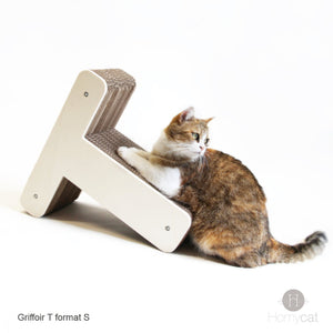 chat-griffe-griffe-lettre-T-homycat-meuble-design
