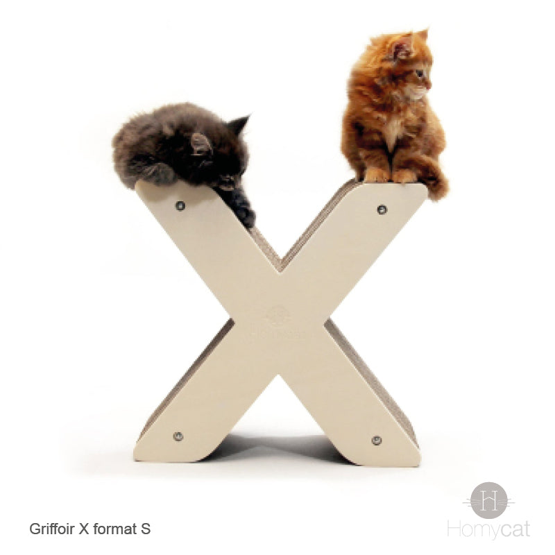 lettre-X-chaton-mainecoon-design-mur