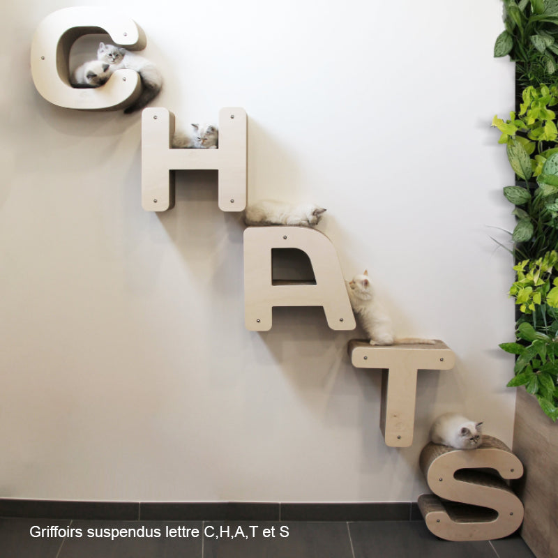 chat-lettre-alphabet-homycat-griffoir-mobilire-design