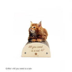 griffoir-citation-humoristique-chat-homycat-all-you-need-is-a-cat