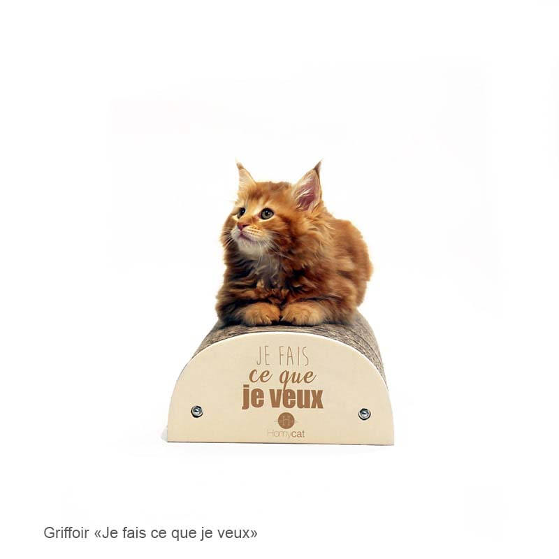 Pack Griffoirs humoristiques - 3 griffoirs au choix