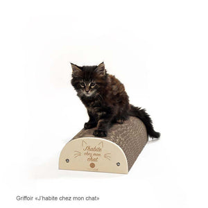 griffoir-citation-humoristique-chat-homycat-j-habite-chez-mon-chat
