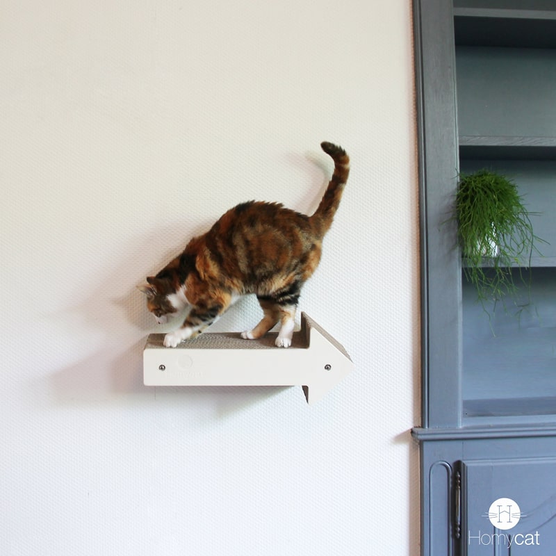 fleche-parcours-chat-deco-design-arbre-a-chat-france-carton-bois-homycat-plante-cuisine-design
