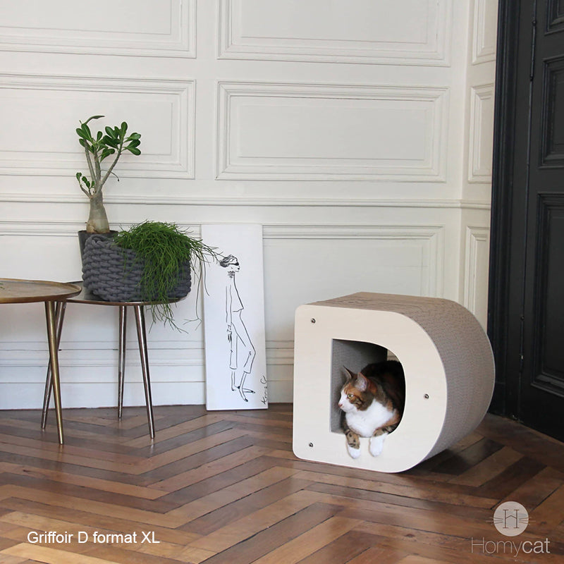 décoration-loft-lettre-d-homycat-xxl-salon-tendance-relax-homycat