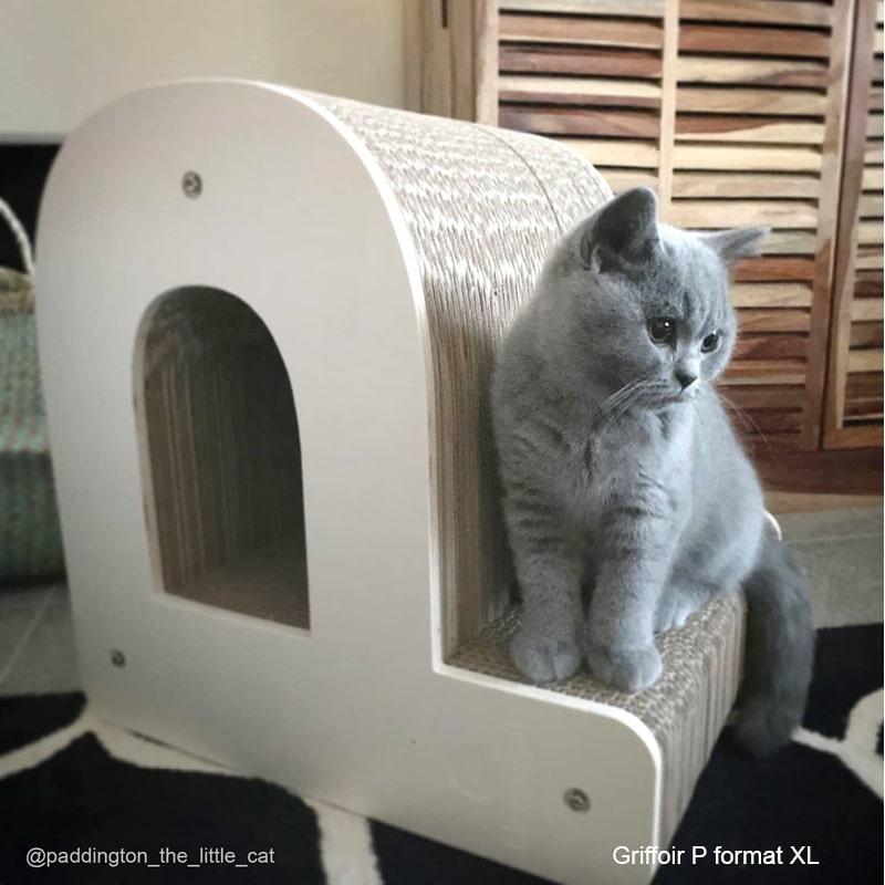 chat-gris-assis-lettre-p-griffoir-design-salon-deco-multifonction-cabane-homycat