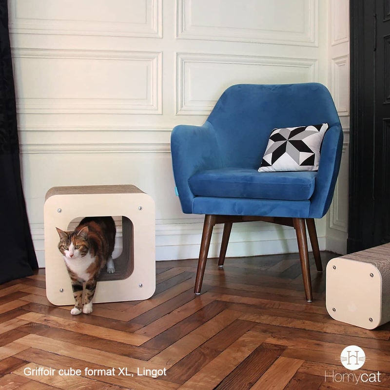 chat-lettre-cube-griffoir-carton-chaise-bleu