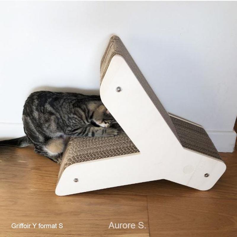 griffoir-arbre-a-chat-robuste-tendant-esthetique-meuble-y-chat-homycat