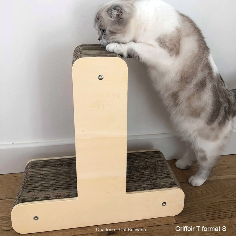 perchoir-chat-grattoir-lettre-t-meuble-mobilier-tendance-design-deco-homycat