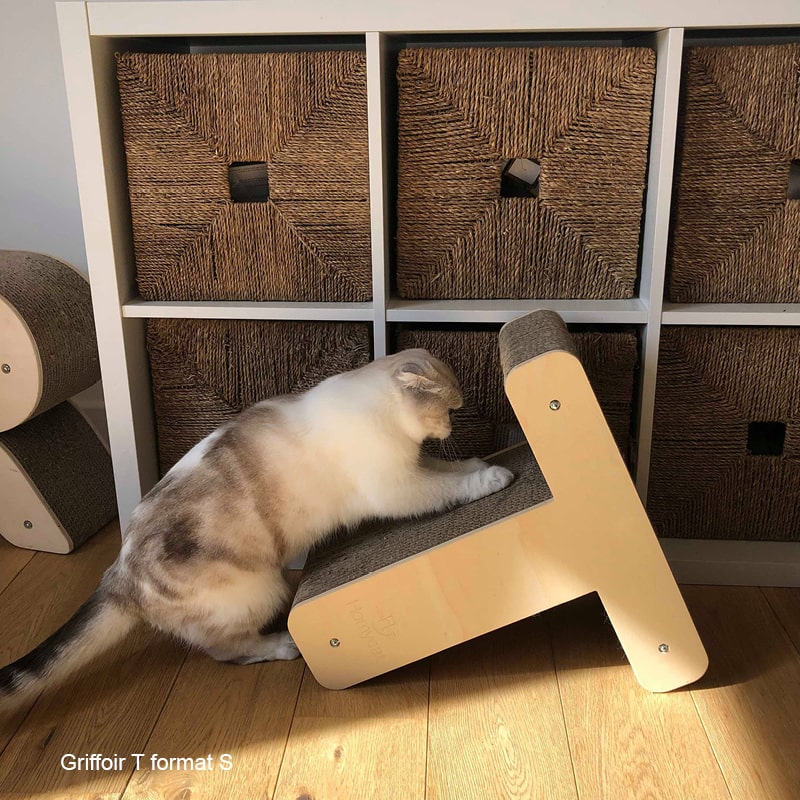 Griffoir Lettre T XL