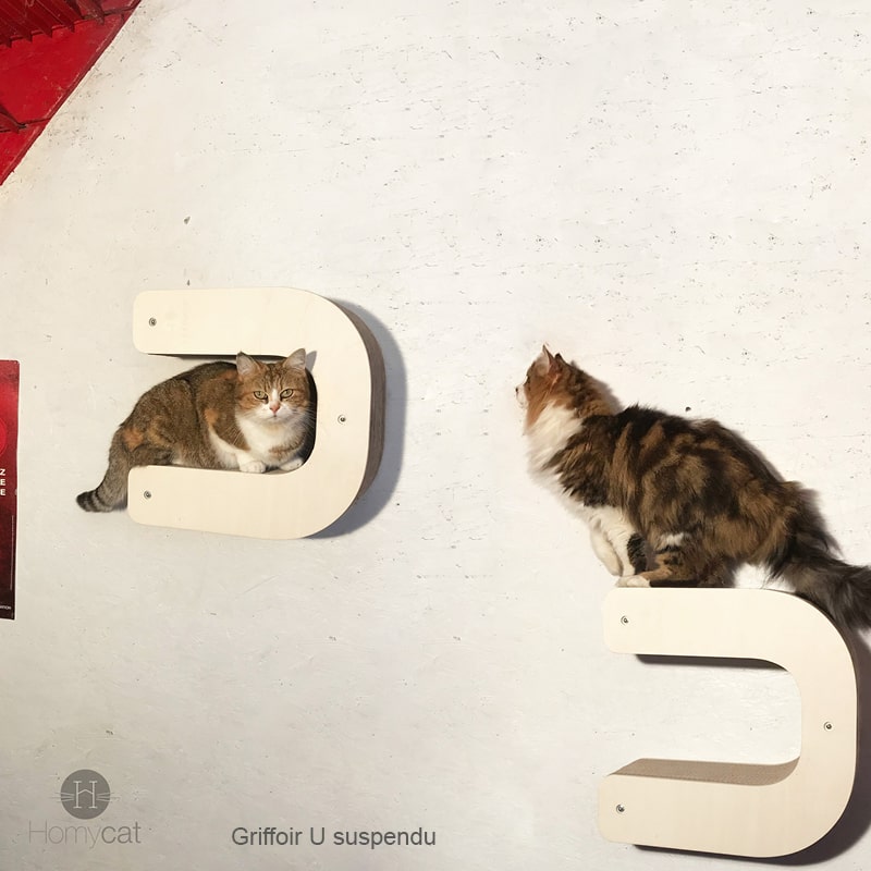 parcours-chat-mur-suspendre-design-salon-mural-homycat