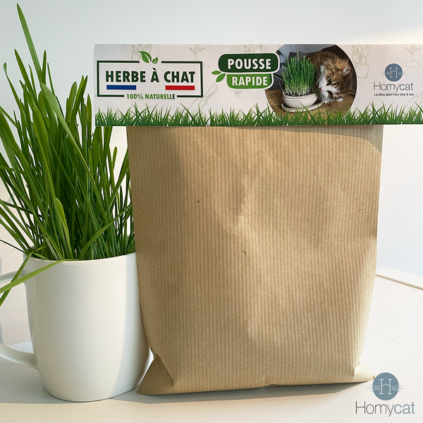 Herbe à chat à faire pousser fabriquée en France - WASABYCAT