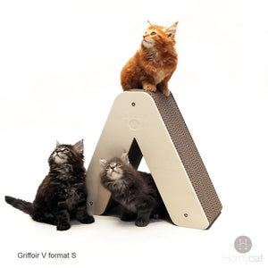chatons-griffoir-tipi-lettre-v-grattoir-alphabet-design-deco-france-homycat