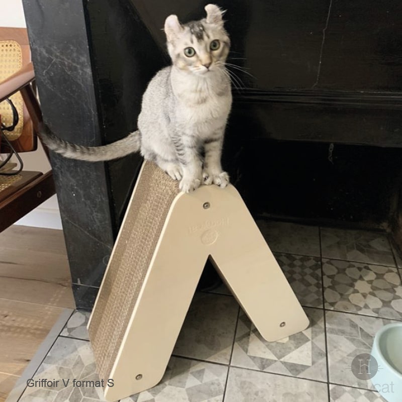 chaton-griffoir-tipi-lettre-v-grattoir-alphabet-design-deco-france-homycat