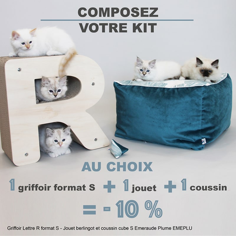 chatons-composez-kit-griffoir-format-S-jouet-coussin-bleu