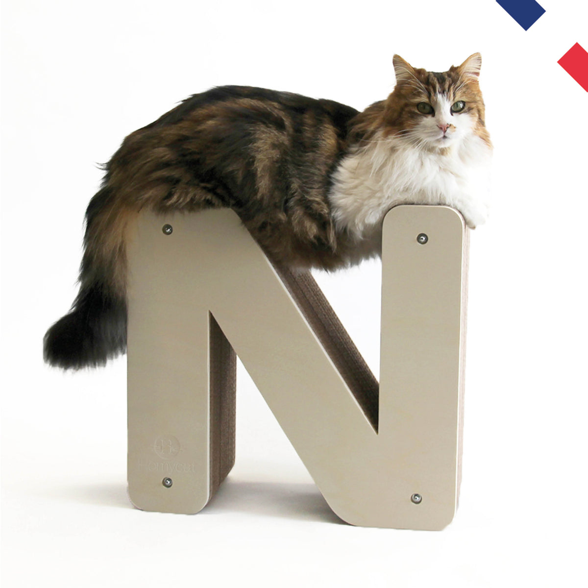 lettreN-griffoir-carton-rechargeable-chat