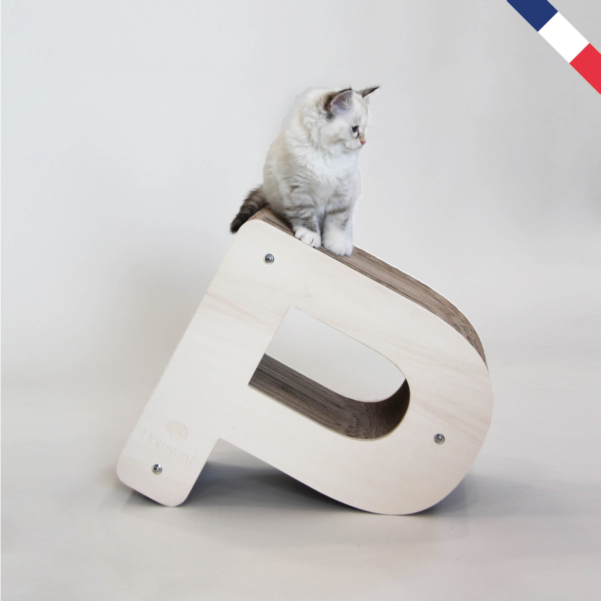 Griffoir grand chat design cadre - Homycat