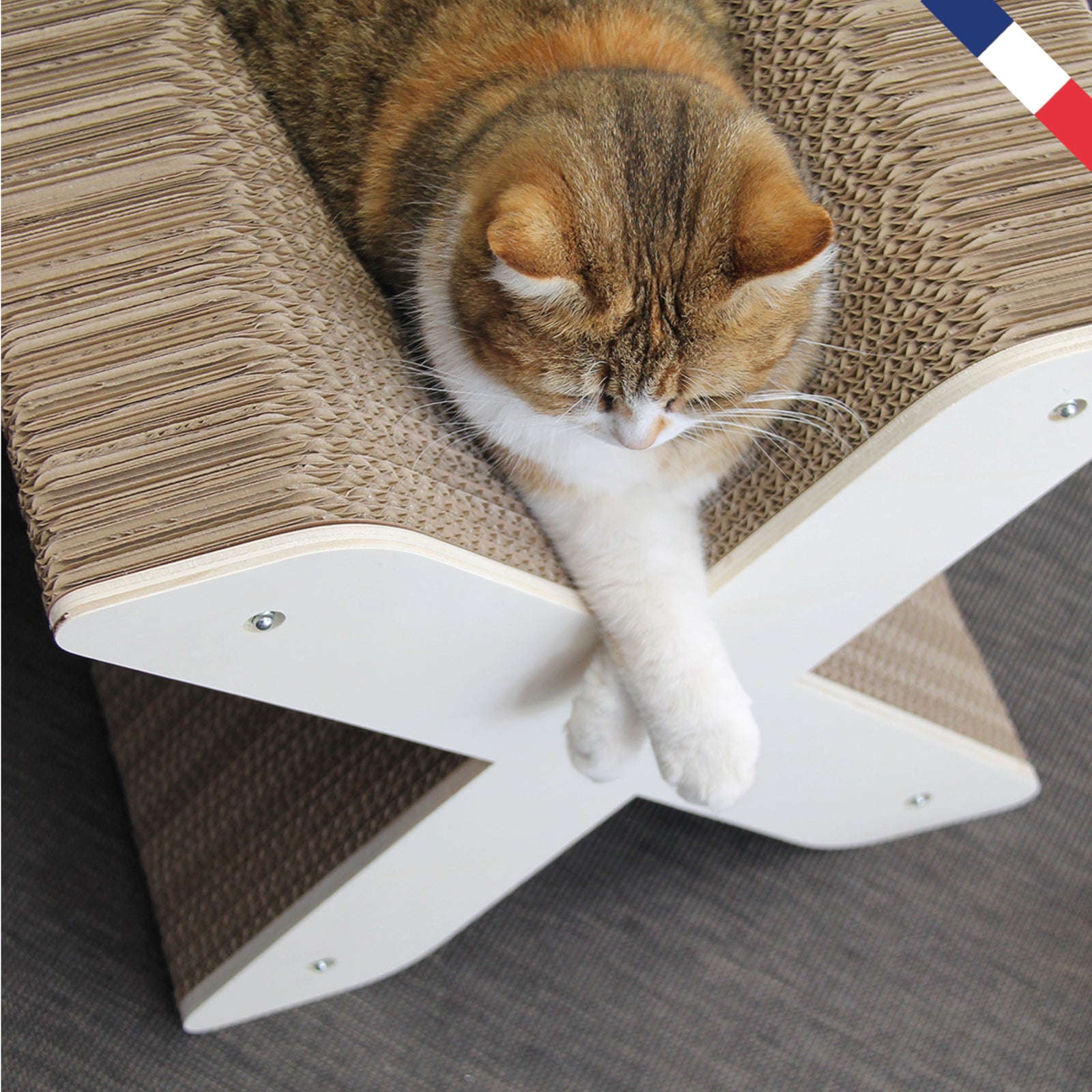 griffoir-lettre-x-homycat-chat-grattoir-mobilier-design-deco-homycat
