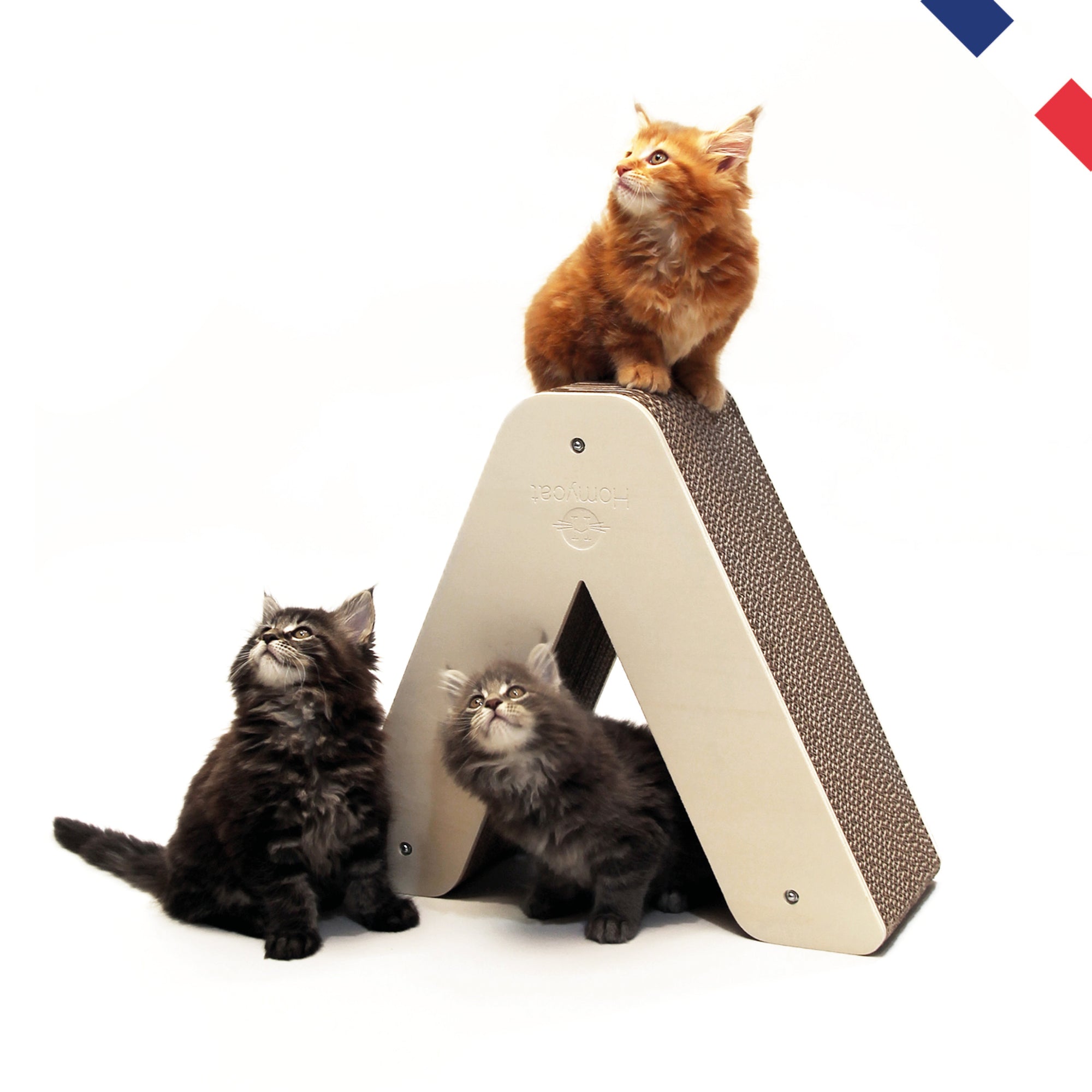 chaton-griffoir-tipi-lettre-v-grattoir-alphabet-design-deco-france-homycat