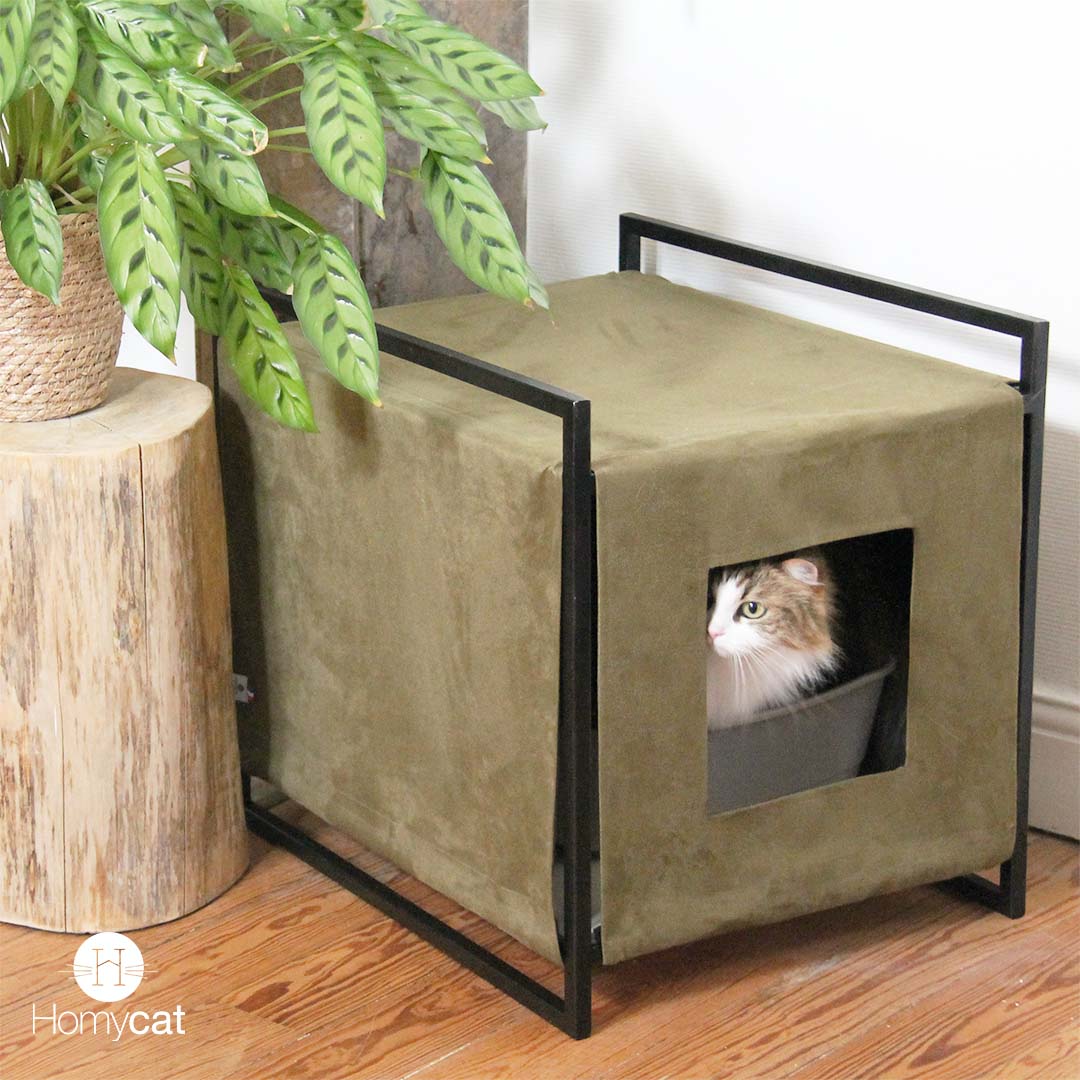 Maisons de toilette Design recommandée par les comportementalistes