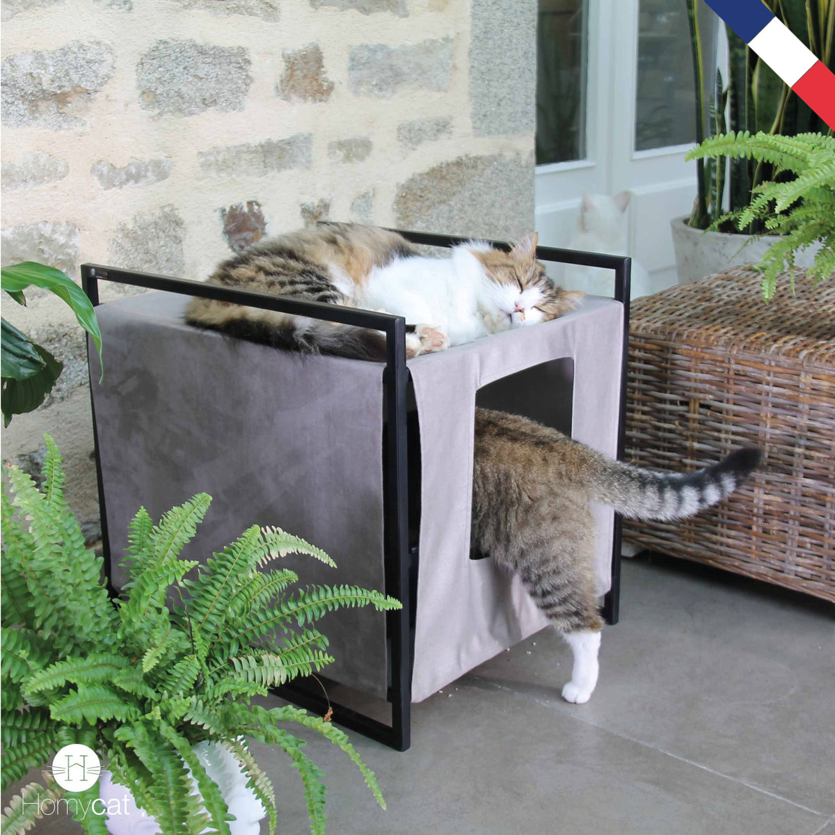 Maisons de toilette Design recommandée par les comportementalistes