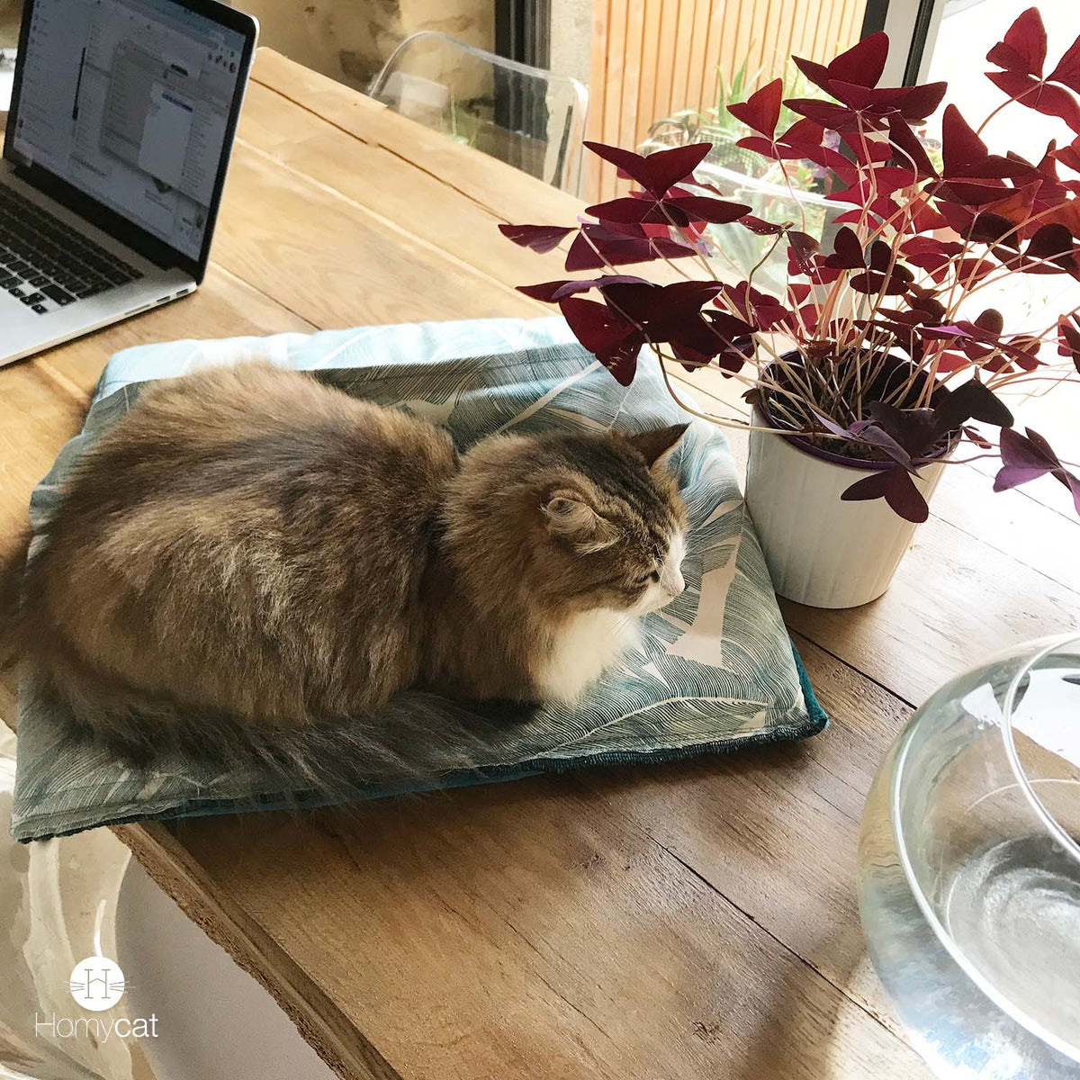 Le moelleux Gris Plume - Couchage pouf chat design
