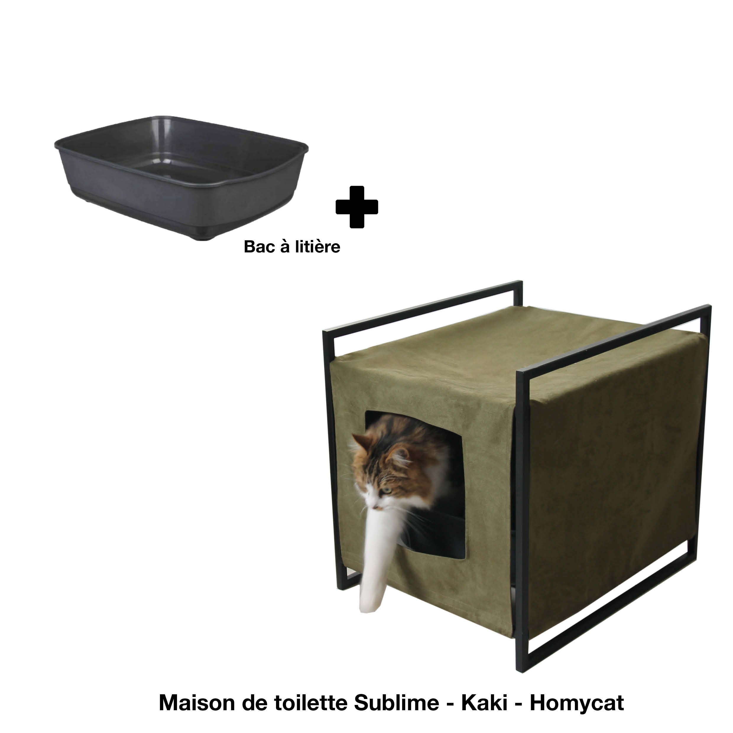 Maisons de toilette Design recommandée par les comportementalistes