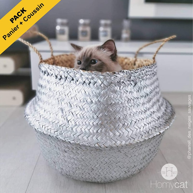 panier-argent-argenté-jonc-naturel-grand-chat-homycat-deco-salon