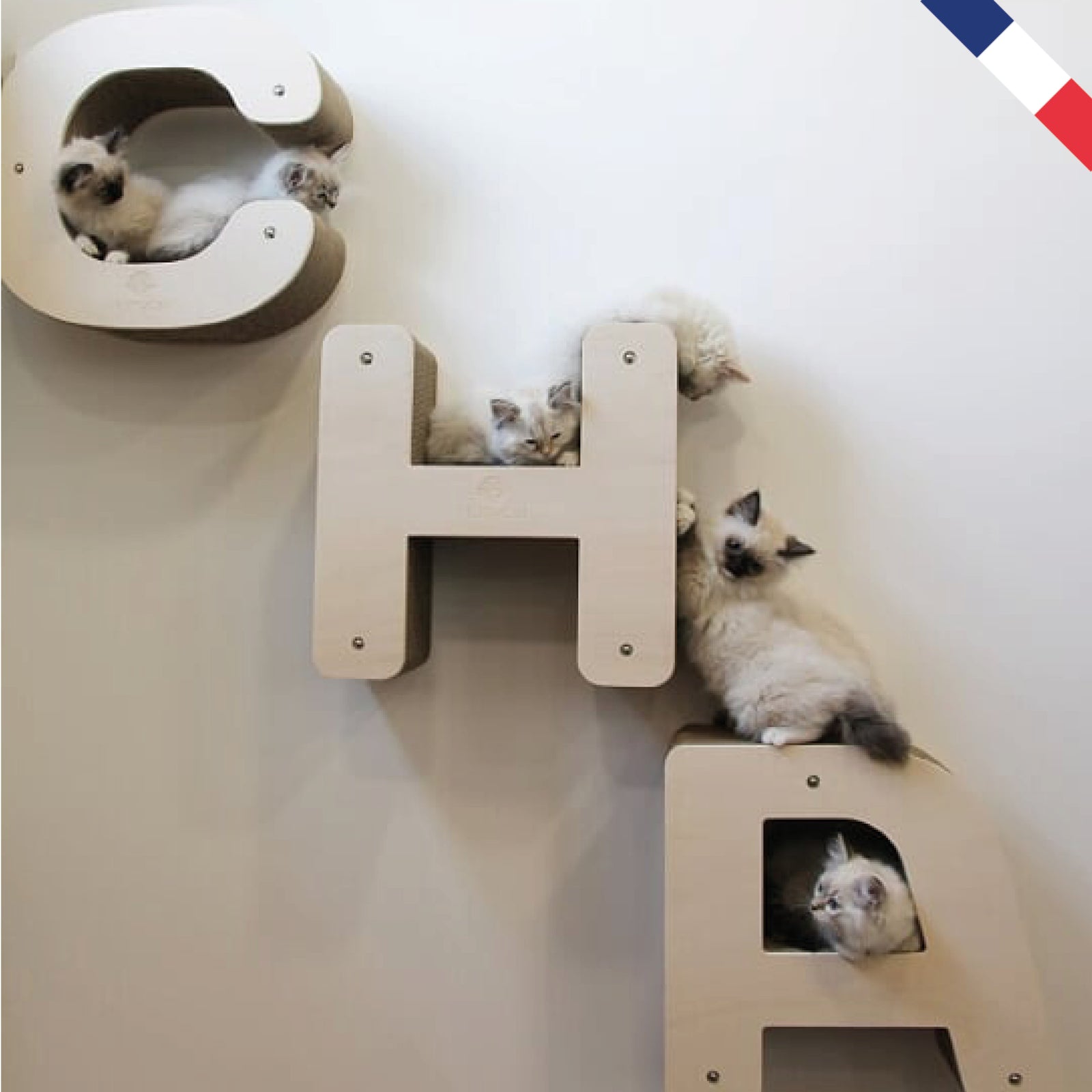 lettre-chat-parcours-C-H-A-T-S-chatons-ragdoll-griffoir-suspendre-mur-carton-homycat