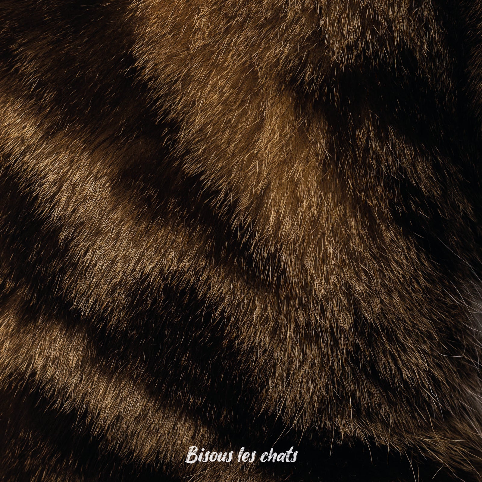 Carnet motif pelage noir brun écaille de tortue de chez Homycat