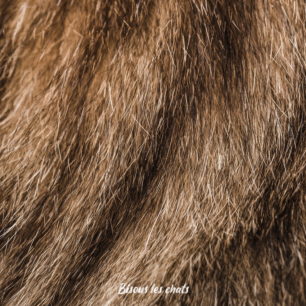 Pack de 2 Carnets - Bisous les chats - Pelage chat poils longs fluffy