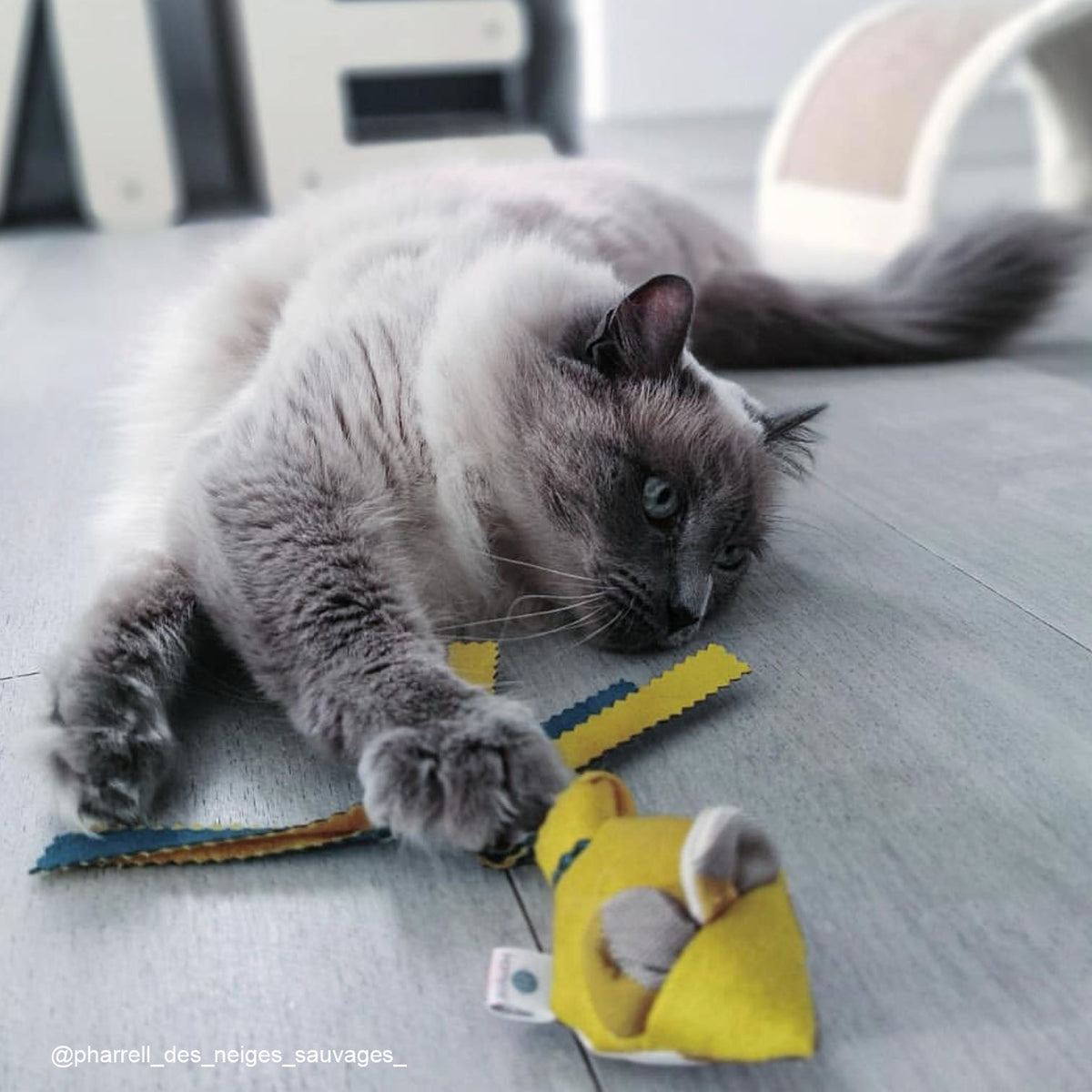 Pack Souris- 3 x Jouets Souris pour chats