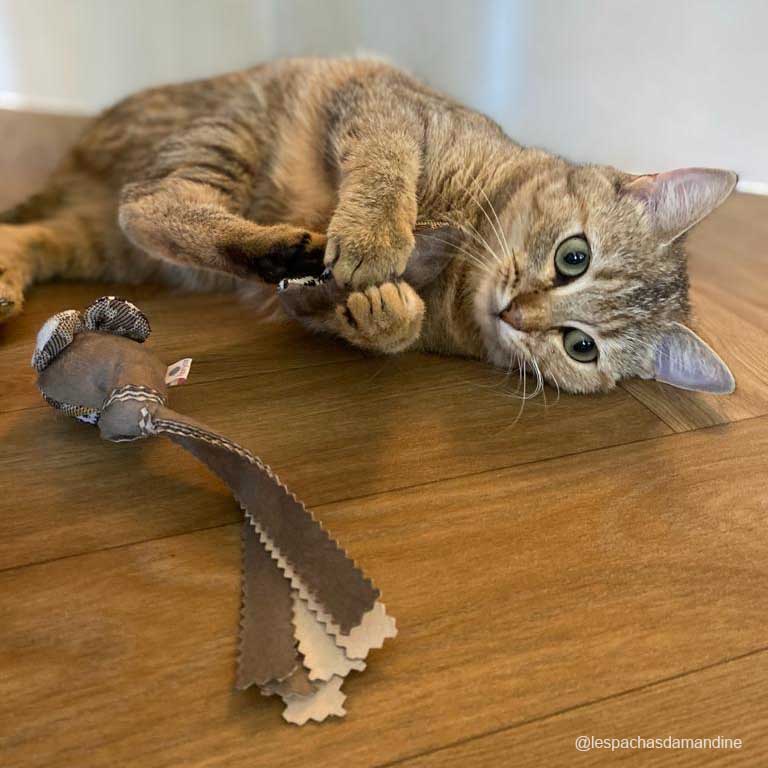 Pack Animaux - 3 x Jouets Animaux pour chats (Poisson + Souris + Oiseau)