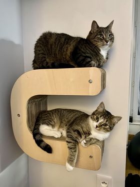 Lettre griffoir mural pour chat au choix (A à Z)