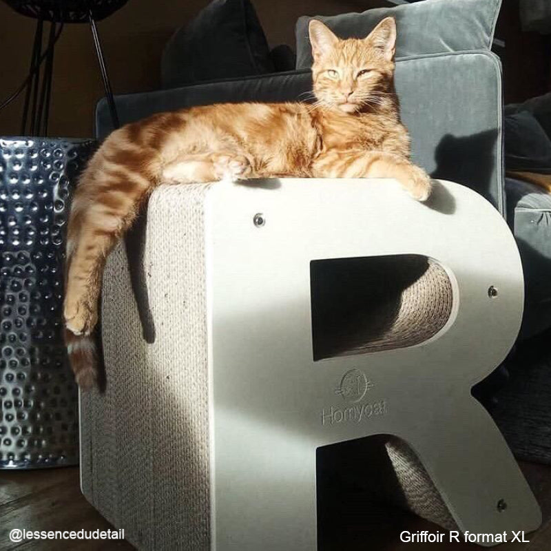 chat-roux-soleil-arbre-a-chat-griffoir-lettre-r-homycaty