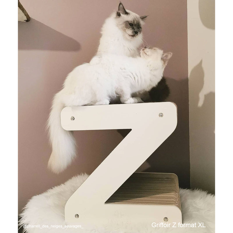 Griffoir XL - Lettres et formes au choix /