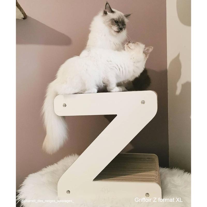 Choix lettre Pack Lettres Griffoir XL pour chat au choix (A à Z)