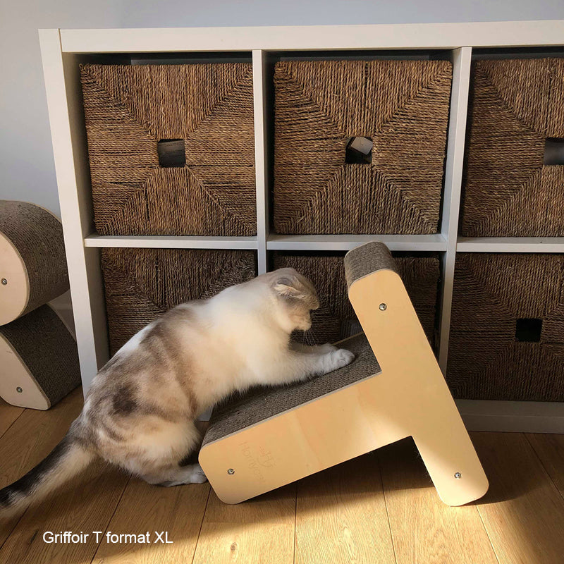 lettre-T-chat-griffoir-griffe-grattoir-rechargeable-durable-solide