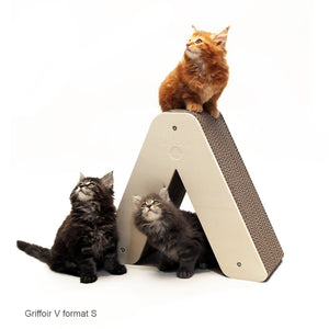 tipi-chats-chatons-arbre-a-chat-carton-roux-noir-mainecoon-homycat