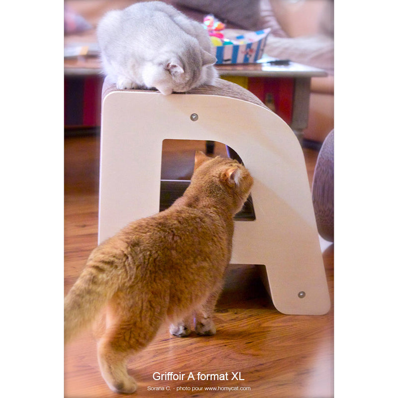 arbre-a-chat-grattoir-griffoir-lettre-alphabet-homycat-A