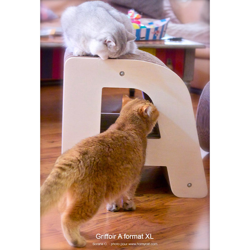 lettre-alphabet-chat-homycat-griffoir-xl-design-deco-meuble
