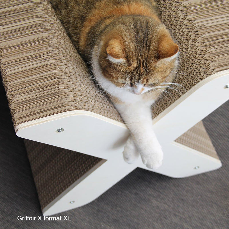 siege-chat-lettre-x-originale-tendance-griffoir-carton