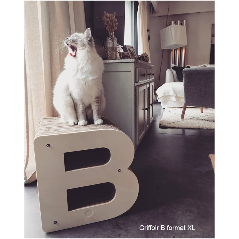 décoration-loft-lettre-b-griffoir-chat-bois-carton-france-homycat